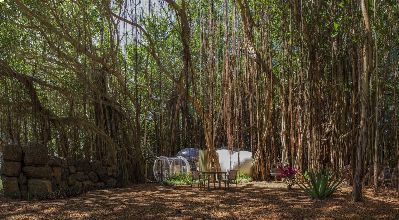 Bubble Lodge Ile Aux Cerfs Island Dış mekan fotoğraf