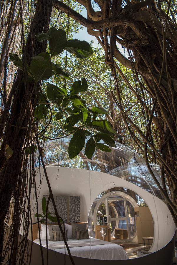 Bubble Lodge Ile Aux Cerfs Island Dış mekan fotoğraf
