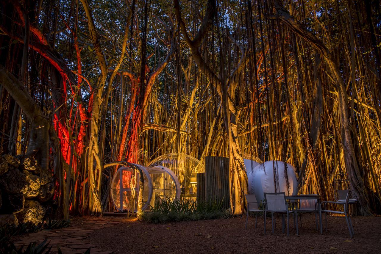 Bubble Lodge Ile Aux Cerfs Island Dış mekan fotoğraf